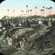 Illustration for article titled Amazing Hand-Tinted Photos of Egypt from the late 19th century